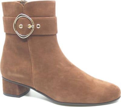 Hassia Siena Enkellaarsjes - Enkelboots met rits - Dames - Bruin - Maat 38