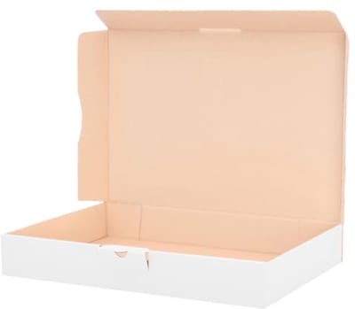 Verzenddozen Maxibrief - Postdozen Karton - Goederen Verzenden - Zonder Plakband Sluiting - 320 x 225 x 50 mm - Wit