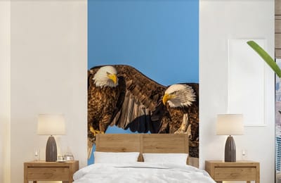 Behang - Fotobehang Vogel - Takken - Arend - Roofvogels - Lucht - Breedte 120 cm x hoogte 240 cm