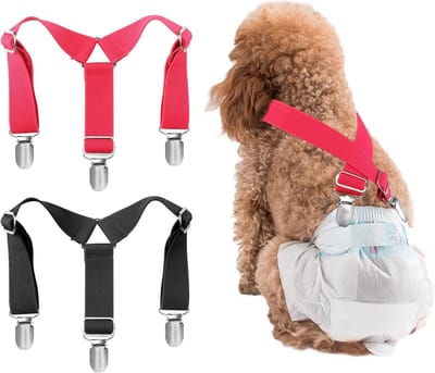 Hondenluier Beugels voor Veiligheid - Voorkom Afglijden van Luiers of Ondergoed, Ideaal voor Actieve Honden en Katten (Zwart + Roze, S)
