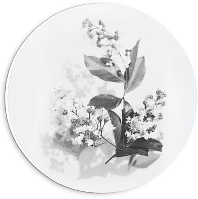 Forex Wandcirkel - Zwart Wit Foto van bloemen  - 20x20cm Foto op Wandcirkel (met ophangsysteem)