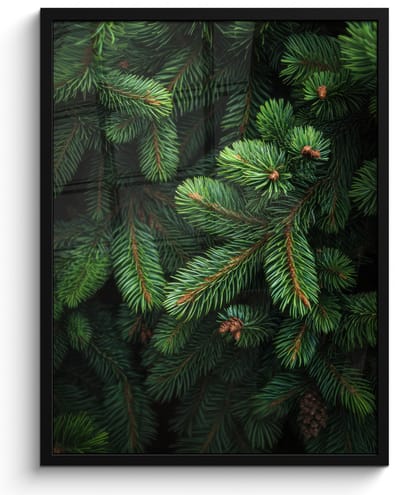 Poster in lijst - Fotolijst 60x80 cm - Posters - Sparrentakken - Knoppen - Naalden - Groen - Posterlijst zwart - Decoratie - Wanddecoratie woonkamer - Muurdecoratie slaapkamer
