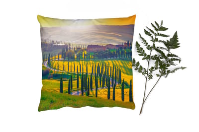Sierkussens - Kussentjes Woonkamer - 40x40 cm - Gras - Zon - Heuvel - Landschap