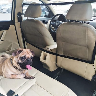 Hondennet Auto - Honden Net Auto - Honden Net Auto Kofferbak - Veiligheidsnet Auto - Hondennet Auto Universeel
