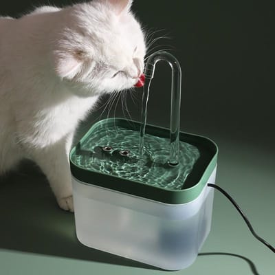 Grote internetberoemde kat waterdispenser automatische circulatiestroom stille waterdispenser drinkwater donkergroene kleur