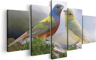 Artaza Canvas Schilderij Vijfluik Getekende Gorzen Vogels - Kleur - Abstract - 100x50 - Foto Op Canvas - Canvas Print