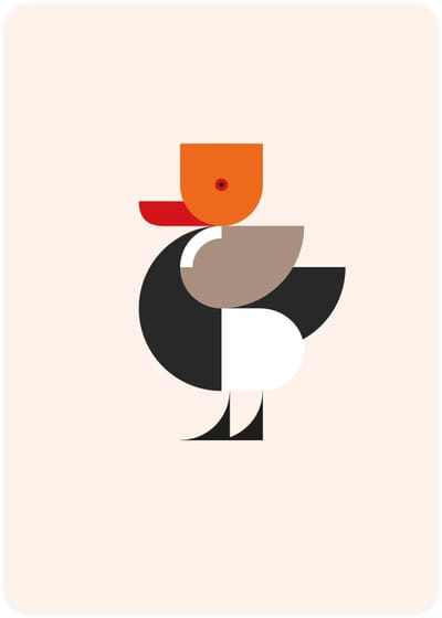 Eendje - 4x leuke wenskaarten - kaarten om te versturen - kaartenset - kaart met Krooneend - vier kaarten met vogels