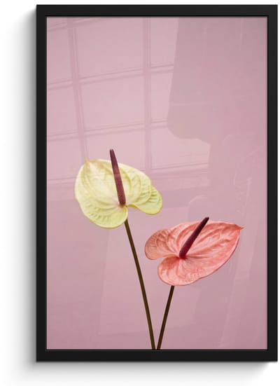 Poster in lijst - Fotolijst 40x60 cm - Posters - Bloemen - Anthuriums - Geel - Roze - Posterlijst zwart - Decoratie - Wanddecoratie woonkamer - Muurdecoratie slaapkamer