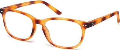Blueberry Glasses Vintage Groot Licht Havanna