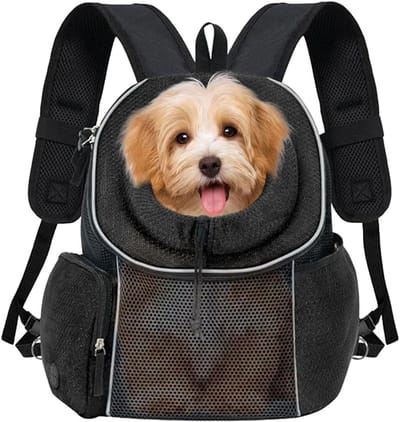 Draagrugzak voor huisdieren - Kat en hond - Comfortabel reizen - Handsfree ontwerp - 48 x 25 x 5 cm