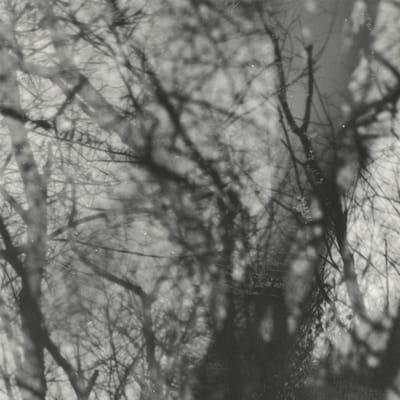 Grouper - Way Their Crept (CD)