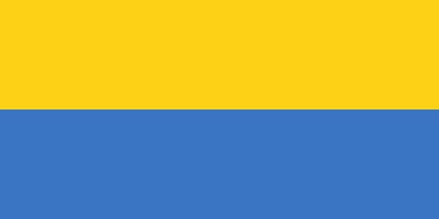 Vlag Gabon 70x100cm