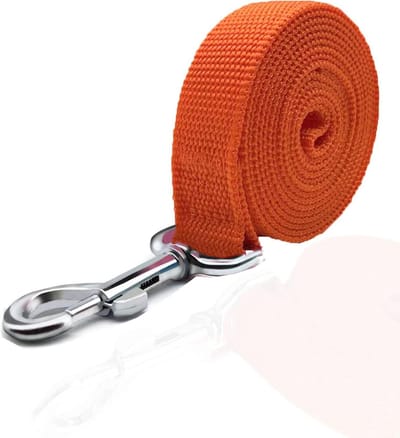 Hondenriem Nylon - Hondenlijn - Dagelijks Wandelen - Versterkte Naden - 15 Meter - Olijf