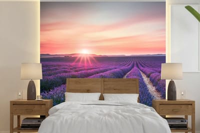 Behang - Fotobehang Lavendel - Paars - Bloemen - Lucht - Breedte 300 cm x hoogte 300 cm