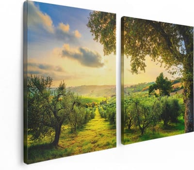 Artaza Canvas Schilderij Tweeluik Olijvenbomen - Olijvengaard - 120x80 - Foto Op Canvas - Canvas Print