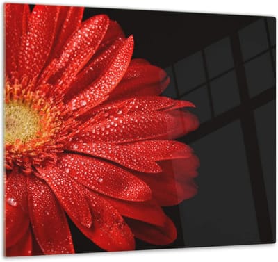 Glazen Snijplank - Kookplaat Cover - Keuken Beschermen - Gehard Glas - 60 x 52 cm - Bloemen Design