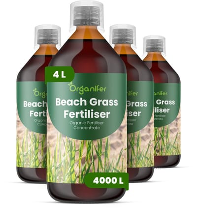 Vloeibare Meststof Voor Strandgras 4X1 L Voor 4000 L - Npk 2-1-8 - Vloeibare Meststof Voor Sterk Gras - Gezonde Wortels – Bevordert Vitaliteit - Verbeterde Bodemleven - Diepe Wortels - Organifer