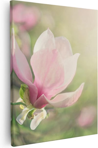 Artaza Canvas Schilderij Bloesem - 40x50 cm - Wanddecoratie Bloemen Roze - Muurdecoratie Natuur - Kamer Accessoires Lente