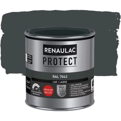 Renaulac Houtlak Protect - Hoogglans - Verkeersgrijs B Ral 7043 - 250ml