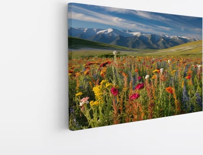 Saammp Canvas Schilderij - Bloemenveld met bergtoppen - Natuur - Landschap - 45x30 - Foto op canvas - Wanddecoratie - Muurdecoratie Woonkamer - Slaapkamer decoratie - Canvas Print