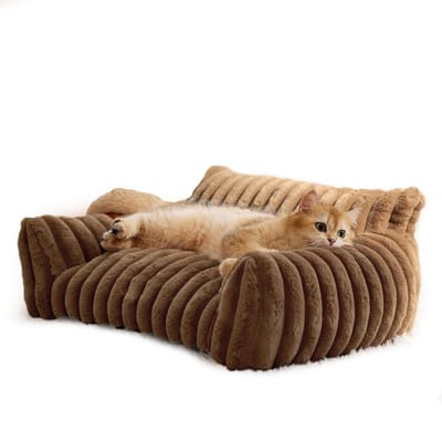 Kattenbank Bed Schattig Huisdierenbed voor Kleine Middelgrote en Grote Katten en Honden   Bankbed voor Huisdieren Binnen met Antislip Bodem & Wasbare Hoes
