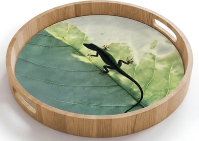 Dienblad rond 40x40 cm - Schootdienblad hout - Hagedis - Blad - Nerven - Groen - Borrelplank rechthoek - Plateau houten dienbladen