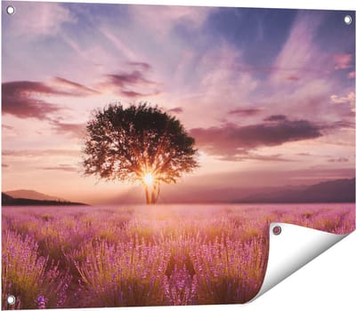 Gards Tuinposter Bloemenveld met Lavendel bij Zonsondergang - 80x60 cm - Tuindoek - Tuindecoratie - Wanddecoratie buiten - Tuinschilderij