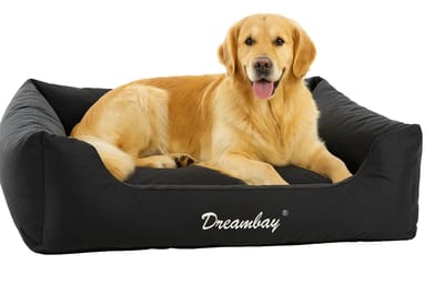 Hondenmand – orthopedisch hondenkussen Dreambay® Zwart 120x95cm – waterafstotend & afneembare hoes – comfortabel en duurzaam Europees design