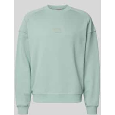 Regular fit sweatshirt van puur katoen, model 'DELASTCREW'