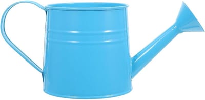 Metalen Gieter - Waterkannetje Bloemen - Planten Water Geven - Fijne Sproeikop - 27 cm - Blauw