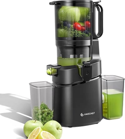 Slowjuicer 250W – Koudpers Juicer met 145 mm Vulopening – 1,8L – Stil – Anti-Drup – Zwart