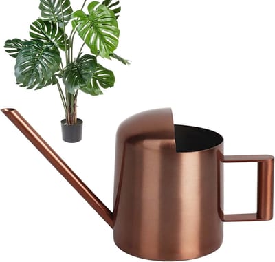 Mini Gieter 300 ml voor Planten - Ideaal voor Binnen en Buiten