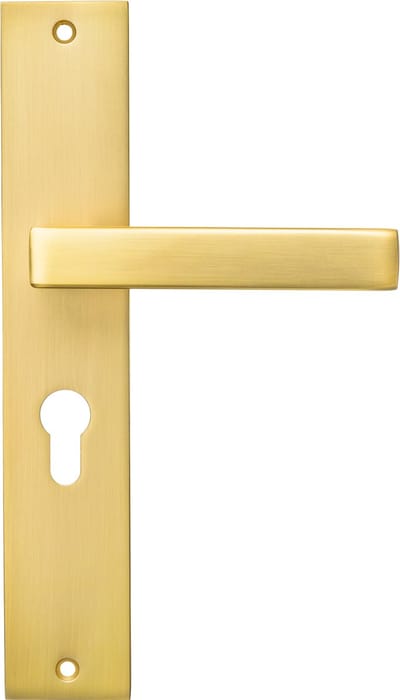 Ostiumhome® Alassio Deurklink op schild met cilindergat - Deurbeslag - 55 mm - Mat goud