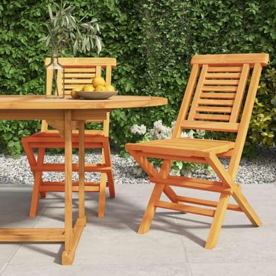 Tuinstoelen Hout - Klapstoelen Buiten - Ontspannen in de tuin - Massief teakhout - 47 x 63 x 90 cm
