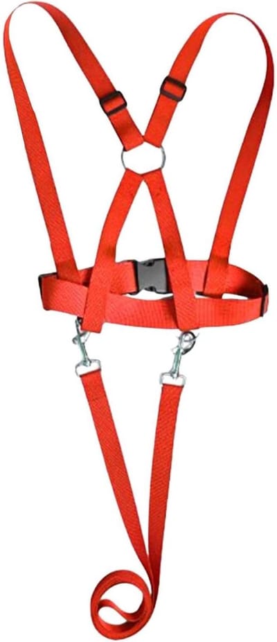 Veiligheidsharnas Kinderen - Leidend Touw - Buitenactiviteiten - Verstelbare Maten - 200cm Lengte - Rood