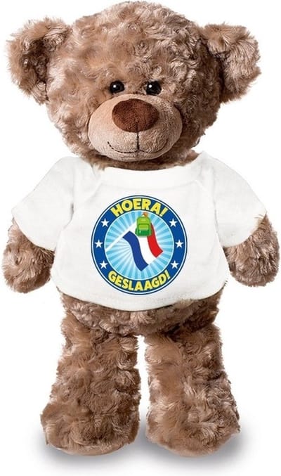 Knuffel teddybeer - geslaagd - 24 cm - pluche - met shirt - eindexamen - afstuderen