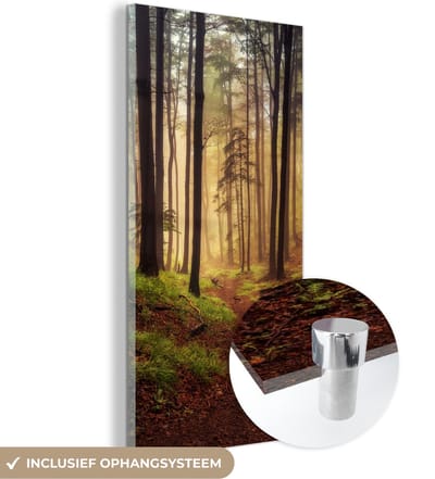MuchoWow® Glasschilderij 20x40 cm - Schilderij acrylglas - Bomen - Natuur - Bos - Foto op glas - Schilderijen
