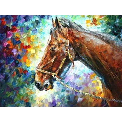 Olieverfschilderij Paard Diamant Borduren Steentjes Borduren Borduren Handwerk Schilderij Diamant 20X30CM white