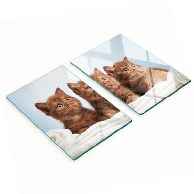 Set van twee glazen keukenplanken/handdoeken voor kittens 2x40x52 cm