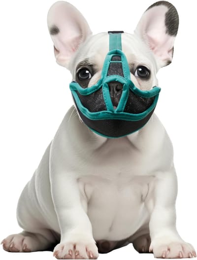Muilkorf voor brachycefale honden — Muilkorf voor Franse Bulldogs — Ademend, verstelbaar gezichtsmasker van mesh — Geschikt voor rassen met een platte snuit (Shih Tzu, Engelse Bulldog) — Anti-bijt, anti-kauw, anti-blaf (Groen, Maat S)