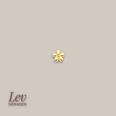 Lev Sieraden - Labret piercing met bloem top - 14k geel goud