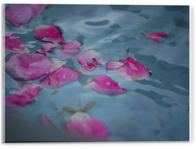 Acrylglas - Rozen Blaadjes in het Water - 40x30cm Foto op Acrylglas (Met Ophangsysteem)