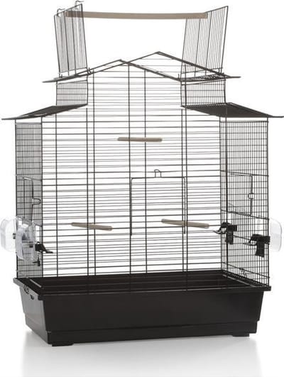 Beeztees Iza 3 Open - Vogelkooi - Zwart - Groot - 59x38x65 cm