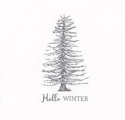 Clayre & Eef Servetten Papier Set van 20 33x33 cm Wit Papier Winter