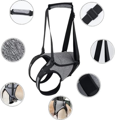Hondenliftharnas, honden brace, hond Rugbeensling, hond, hond beugel, hond steun, hond harnas, Hondenbeenriem Handicap Brace, Loopharnas, hond Hulpgordel, hondensling maat M.