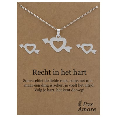 Stainless Steel Hartje met Pijl Ketting + Oorbellen Setje op Cadeau Kaartje - Recht in het hart - 45 cm ketting & ± 10x10mm Oorknopjes - Zilverkleurig Roestvrij Staal - Pax Amare