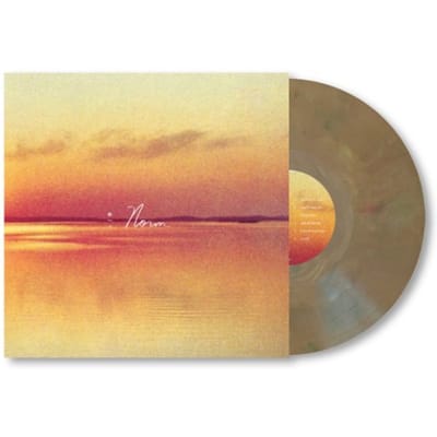 Andy Shauf - Norm (LP) (Limited Edition)
