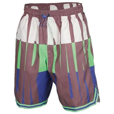 Shorts de sport décontractés Jordan pour homme Vert Impact/Violet Rush Modéré XS gray