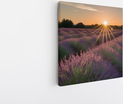 Saammp Canvas Schilderij - Lavendelveld tijdens zonsopgang - Natuur - Landschap - 20x20 - Foto op canvas - Wanddecoratie - Muurdecoratie Woonkamer - Slaapkamer decoratie - Canvas Print