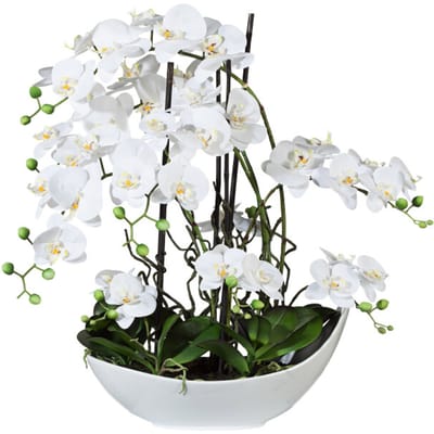Kopu® Kunstbloem Volle Orchidee 68 cm Wit met Schaal - Phalenopsis
